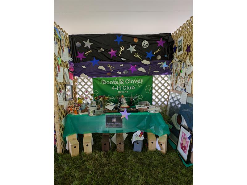 Logo for 2026 Steuben County 4-H Summer Showcase