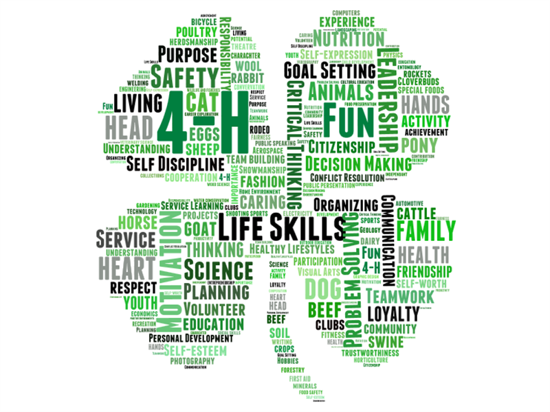 Logo for 2026 Brookings County 4-H