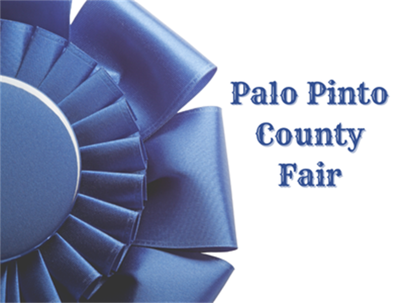 Logo for 2026 Palo Pinto County Fair