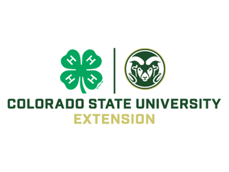 Logo for 2026 Colorado 4-H State Fair