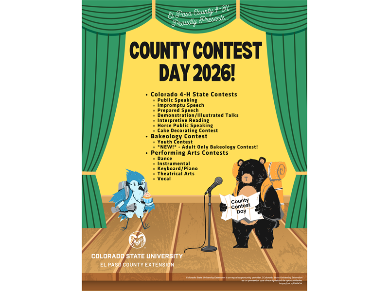 Logo for 2026 El Paso County Contests