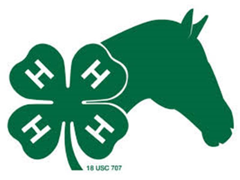 Logo for 2026 Custer/ Fall River / Pennington County Horse Show