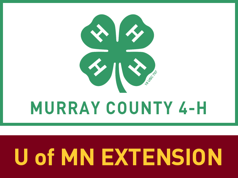 Logo for 2026 Murray County Fair